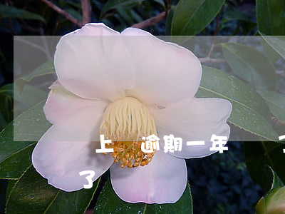 貸上錢逾期一年沒還了(貸上錢逾期一年沒還了)