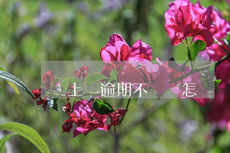 貸上錢逾期不還會怎樣(貸款逾期還能貸款嗎?)