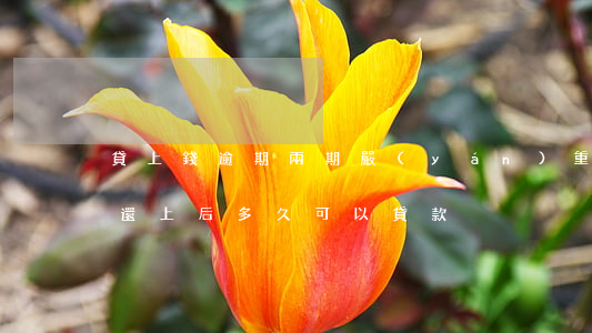貸上錢逾期兩期嚴(yán)重嗎(貸款逾期還上后,多久可以貸款)