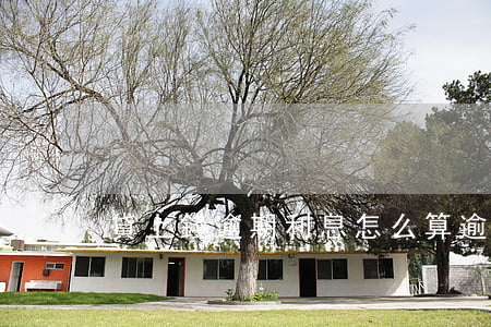 貸上錢逾期利息怎么算(逾期利息怎么還上)