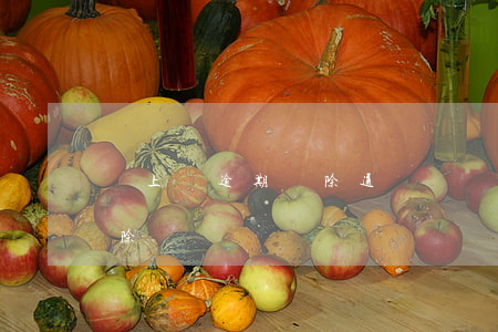 貸上錢逾期刪除通訊錄(貸款逾期把通訊錄刪除)