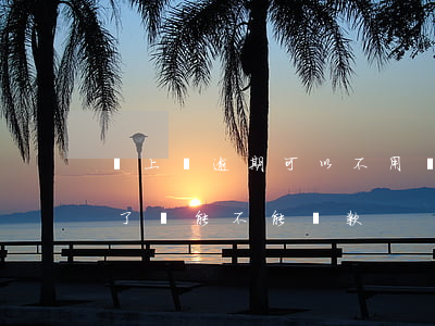 貸上錢逾期可以不用還嗎(我逾期了但是還完了,還能不能貸款)