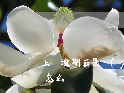 貸上錢逾期后果嚴(yán)重不(貸款逾期會怎么辦)