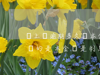貸上錢逾期多久還本金(金融借款逾期之后,償還的是本金還是利息)