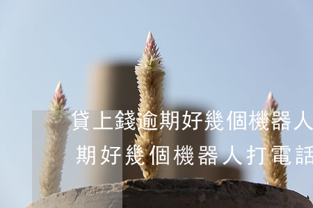 貸上錢逾期好幾個機器人打電話-貸上錢逾期好幾個機器人打電話催收