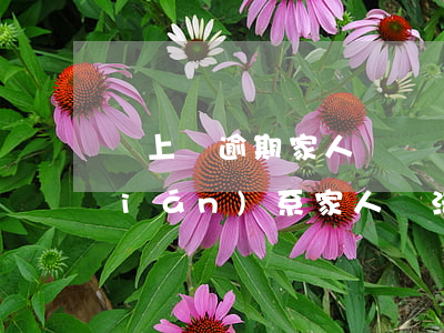 貸上錢逾期家人會牽連嗎(貸款逾期后聯(lián)系家人違法嗎)