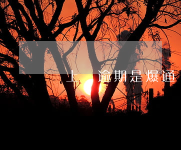 貸上錢逾期是爆通訊錄(貸款逾期爆通訊錄)