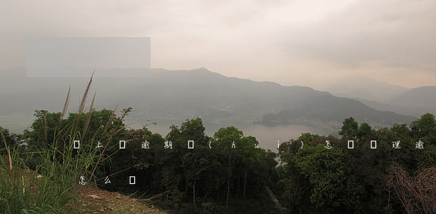 貸上錢逾期會(huì)怎樣處理(逾期貸款怎么辦)