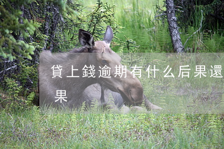 貸上錢逾期有什么后果(還貸逾期會有什么后果)