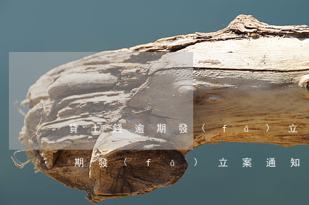 貸上錢逾期發(fā)立案通知函(貸上錢逾期發(fā)立案通知函)