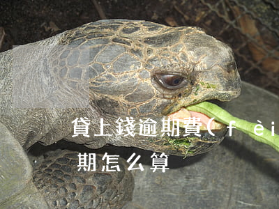 貸上錢逾期費(fèi)用怎么算的(貸款逾期怎么算)