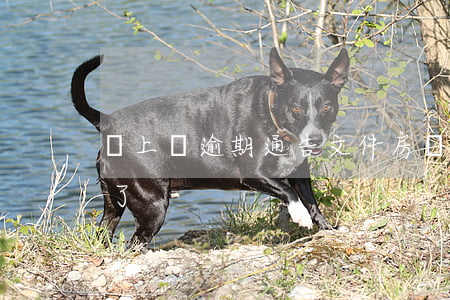 貸上錢逾期通告文件(房貸逾期給我下通知書了)