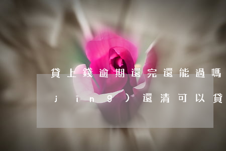 貸上錢逾期還完還能過嗎(逾期過但是已經(jīng)還清可以貸款嗎)
