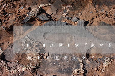 貸上錢逾期還能下款口子(還有什么可以下款的,當前逾期太多了)
