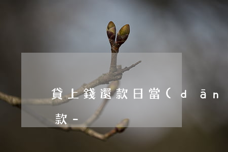貸上錢還款日當(dāng)天怎么不能還款-