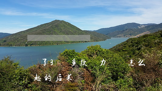 貸了3萬多款無力償還怎么辦（貸款三萬還不起的后果）