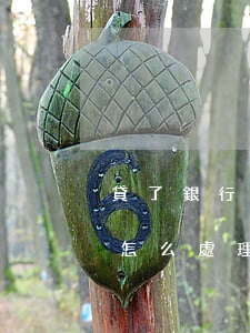 貸了銀行的錢還不上怎么辦(貸款還不起銀行怎么處理方法)