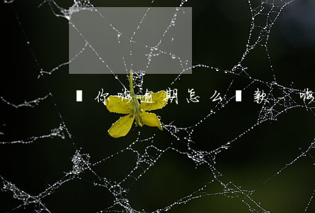 貸你嗨逾期怎么還款-嗨秒貸還放款嗎