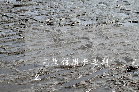 貸完款信用卡逾期-貸完款信用卡逾期會怎么樣