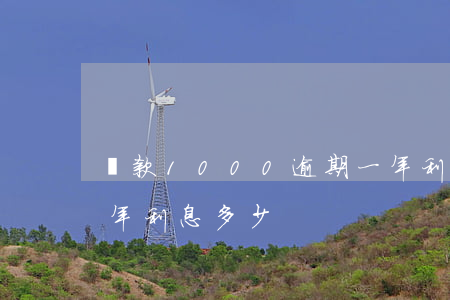 貸款1000逾期一年利息(1000逾期一年利息多少)
