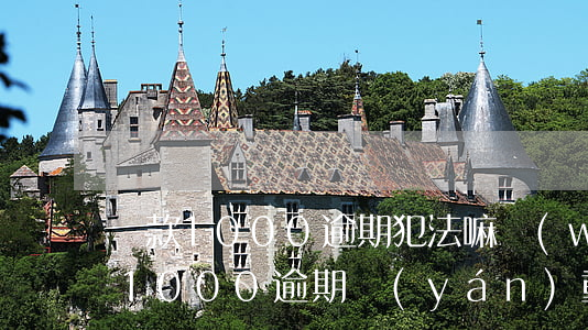 貸款1000逾期犯法嘛(網(wǎng)貸1000逾期嚴(yán)重嗎)