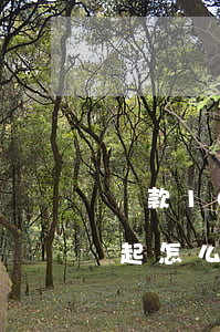 貸款100多都還不起(貸款100多都還不起怎么辦)
