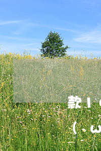 貸款100萬(wàn)還不起(貸款100萬(wàn)還不起了會(huì)坐牢嗎)