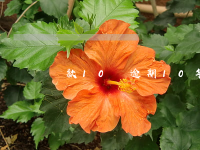 貸款10萬逾期10年(10萬逾期一年利息)