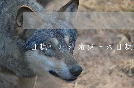 貸款123逾期一天(貸款不小心逾期兩天)