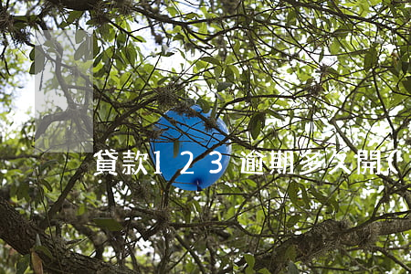 貸款123逾期多久開(kāi)炸