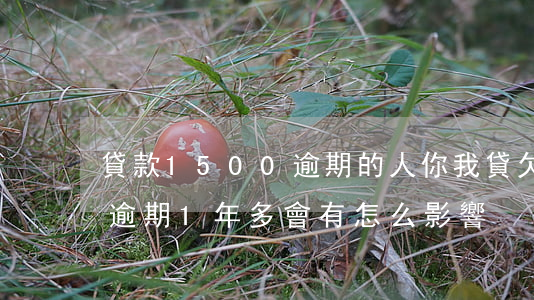 貸款1500逾期的人(你我貸欠款1800,逾期1年多,會有怎么影響)