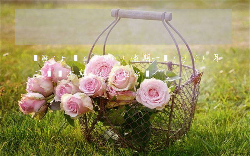 貸款15萬(wàn)逾期一個(gè)月了(車貸逾期15天怎么辦)