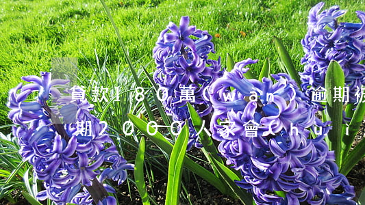 貸款180萬(wàn)逾期被起訴(貸款逾期2000人家會(huì)起訴嗎)