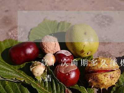 貸款1次逾期多久能恢復(貸款逾期一年后才還清)