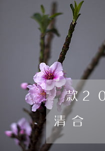貸款20萬(wàn)幾年內(nèi)還清合適（貸款20萬(wàn)多久還清）