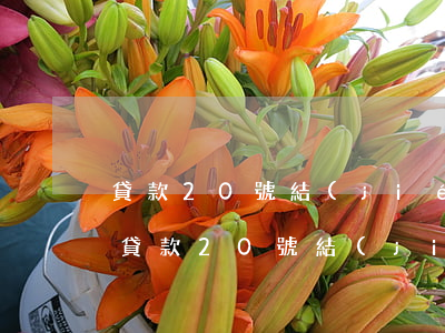 貸款20號結(jié)息21號算逾期嗎(貸款20號結(jié)息21號算逾期嗎怎么算)