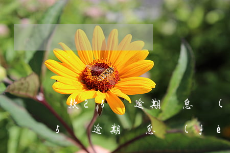 貸款25萬逾期罰息費(fèi)用(貸款25萬逾期罰息費(fèi)用)