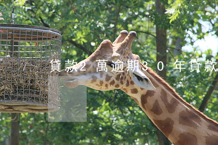貸款2萬逾期30年(貸款2萬逾期30年)