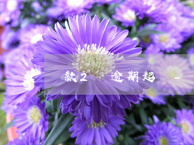 貸款2萬逾期起訴-貸款逾期2年