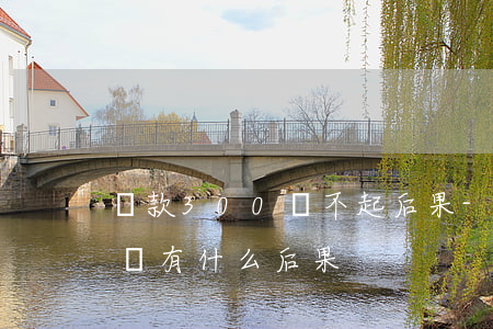 貸款300還不起后果-貸款300萬不還會有什么后果