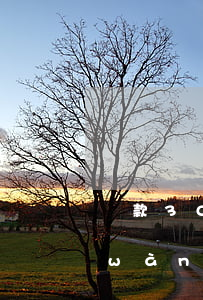 貸款30萬(wàn)逾期怎么辦(30萬(wàn)貸款逾期一個(gè)月多少罰息)