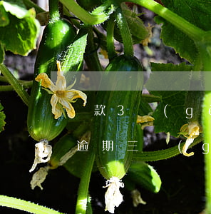 貸款3個(gè)月發(fā)生逾期(貸款逾期三個(gè)月還清后)