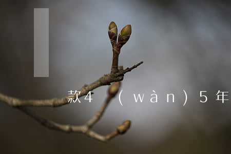 貸款4萬(wàn)5年還不起