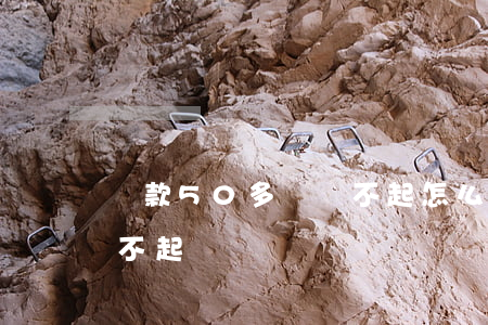 貸款50多萬還不起怎么辦（貸款50多萬還不起）