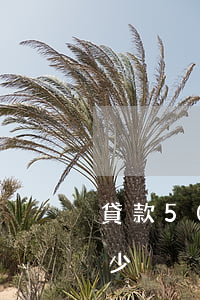 貸款50萬逾期了一年(50萬貸款一年還多少)