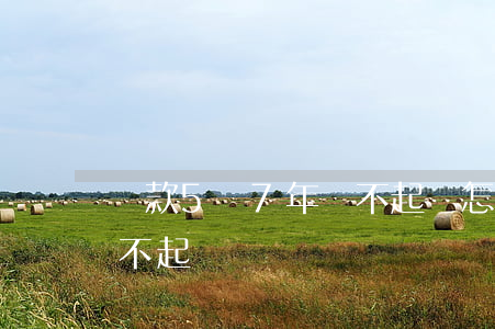 貸款5萬7年還不起會怎樣（貸款5萬7年還不起）