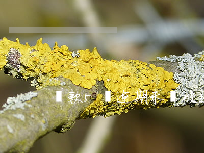 貸款5萬逾期未還被起訴