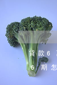 貸款6萬三年36期怎么算(貸款6萬三年36期怎么算利息3厘)