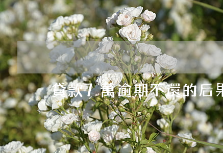 貸款7萬逾期不還的后果