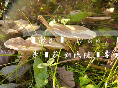 貸款8萬(wàn)還不起傳票-如果貸款未還,收到法院傳票起,多久能結(jié)案